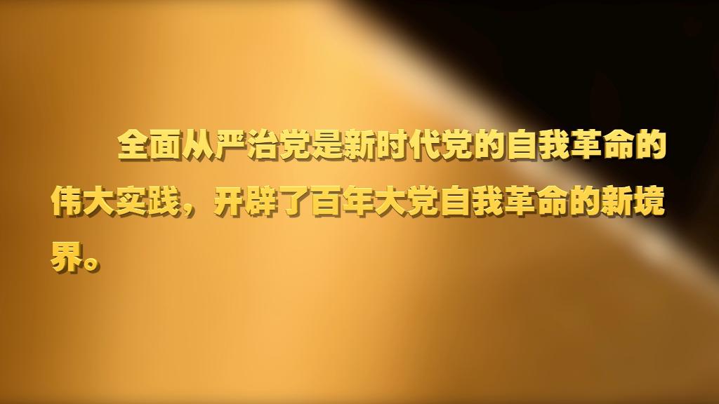 劃重點！十九屆中央紀(jì)委六次全會 習(xí)近平提出這些要求