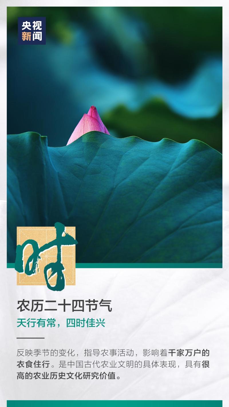 這也太浪漫了吧！