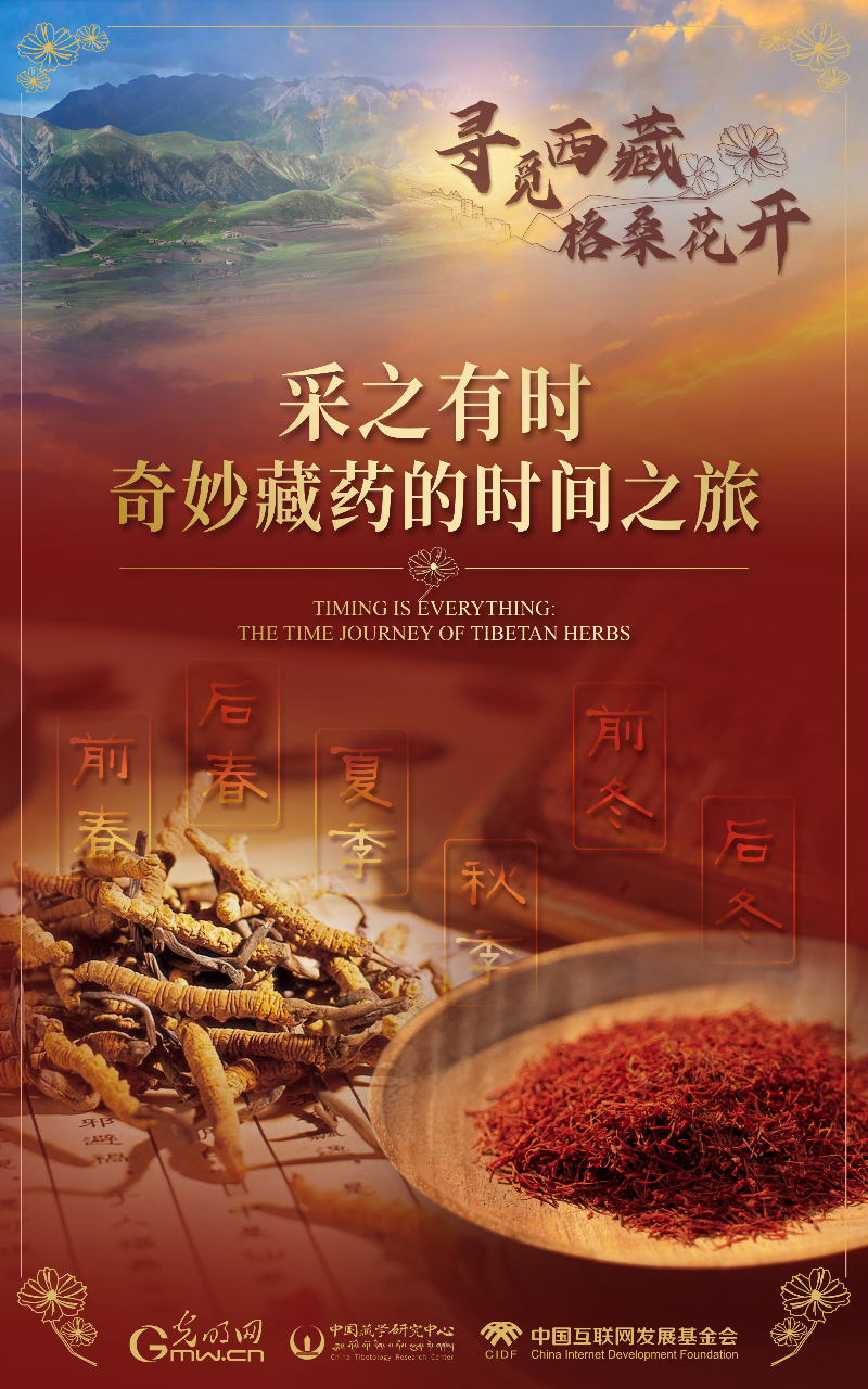 【尋覓西藏·格?；ㄩ_(kāi)】采之有時(shí)：奇妙藏藥的時(shí)間之旅