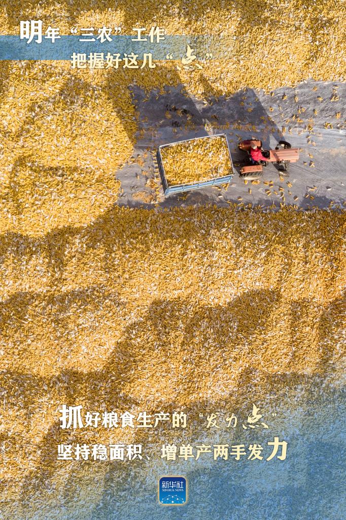明年“三農(nóng)”工作，這幾個“點”要把握好