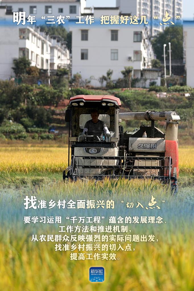 明年“三農(nóng)”工作，這幾個“點”要把握好
