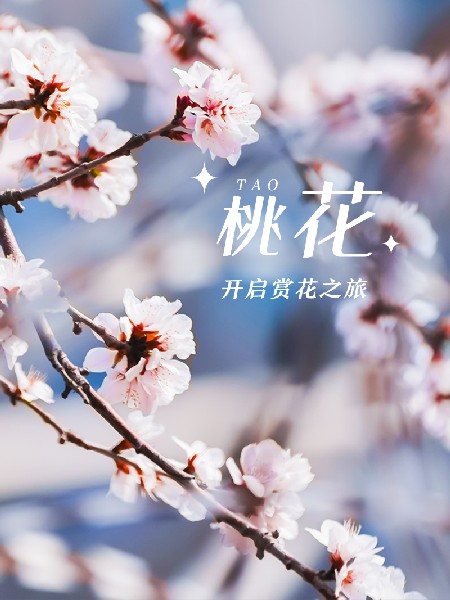 追花指南第三期！別等了 今天就去和桃花撞個滿懷