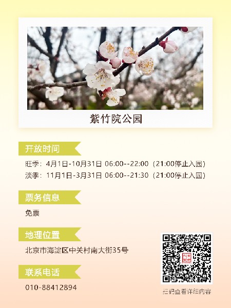 追花指南第六期！杏花雨 楊柳風(fēng) 北京最美的杏花在這里