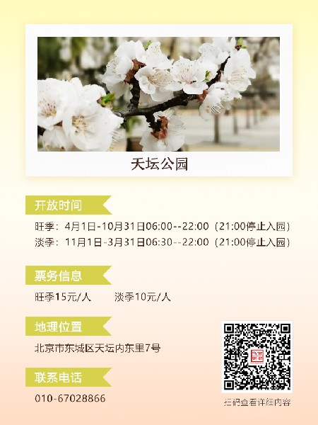 追花指南第六期！杏花雨 楊柳風(fēng) 北京最美的杏花在這里
