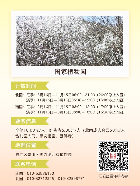 追花指南第六期！杏花雨 楊柳風(fēng) 北京最美的杏花在這里