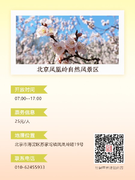 追花指南第六期！杏花雨 楊柳風(fēng) 北京最美的杏花在這里