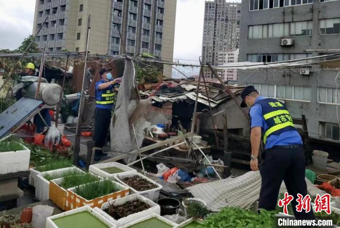 在一處居民樓屋頂，城管隊(duì)員拆除“空中菜園”?！〗疖?攝