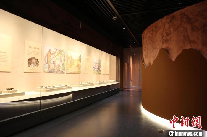 展覽展出了周口店遺址的139件(套)文物。　太原市博物館供圖