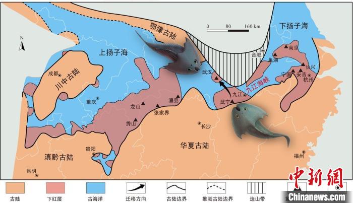 華南地區(qū)志留紀(jì)早期古地理圖和盔甲魚類化石產(chǎn)地(山顯任改自陳旭、戎嘉余，1996；戎嘉余等，2012) 中科院古脊椎所 供圖