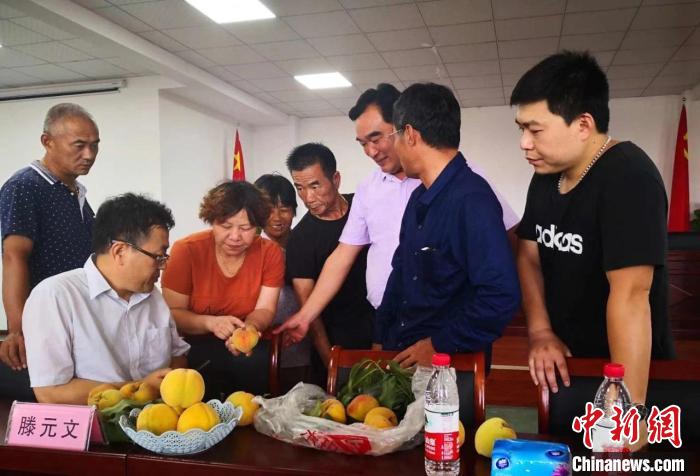 民進(jìn)浙江省委會(huì)為三里橋黃桃種植戶送技術(shù)、送指導(dǎo)?！〖紊平y(tǒng)戰(zhàn) 供圖