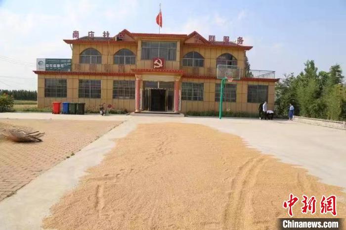 農(nóng)民在邳莊鎮(zhèn)尚莊村黨群服務(wù)中心大院里曬糧?！≠Z萌 攝
