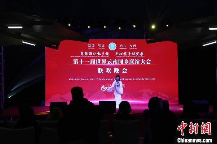 圖為第十一屆世界云南同鄉(xiāng)聯(lián)誼大會舉辦聯(lián)歡晚會?！〈抻澜?攝