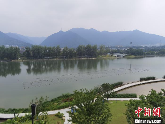 兩岸媒體共探杭州亞運會“綠”在何處？