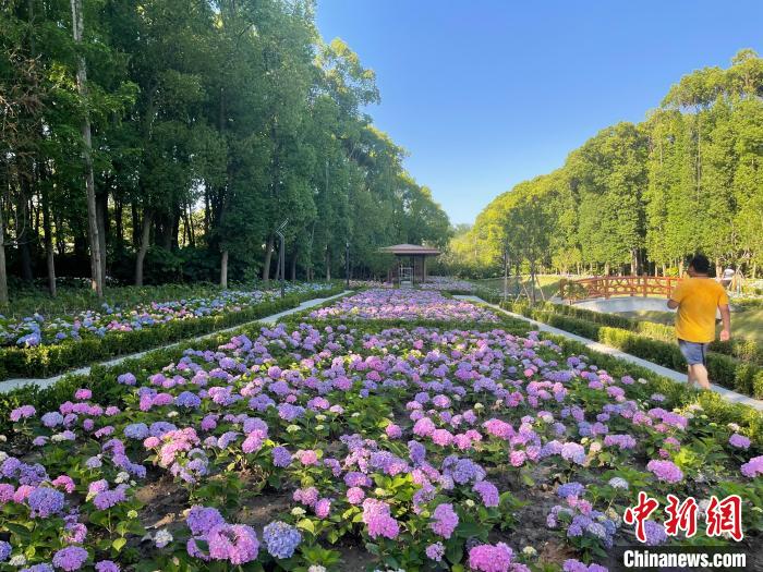 納民意、匯民智上海努力讓“公園城市”建設(shè)真正“合民心”