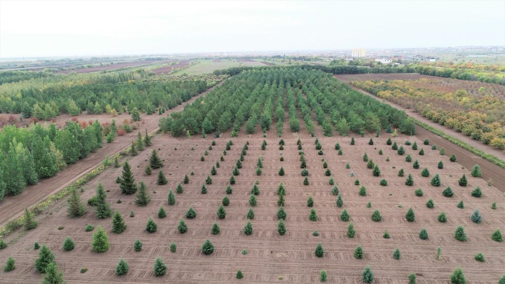 這是2023年9月11日在哈薩克斯坦首都阿斯塔納拍攝的一處植物種質(zhì)資源苗圃（無人機(jī)照片）。新華社發(fā)（法爾哈特·圖克諾夫 攝）