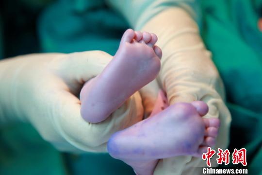 資料圖。簡(jiǎn)文楊 攝