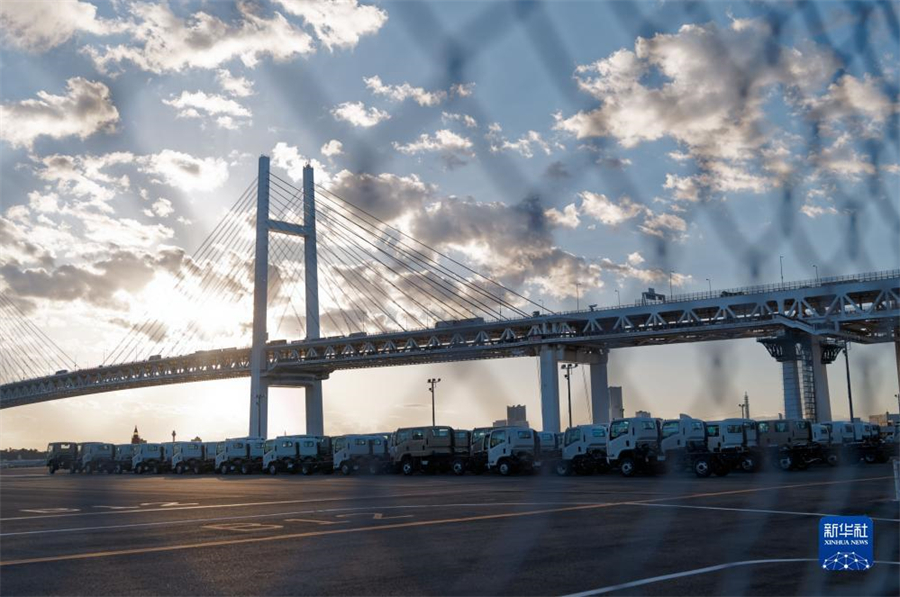 這是11月14日在日本橫濱拍攝的進(jìn)出口汽車集散場地。新華社記者 張笑宇 攝