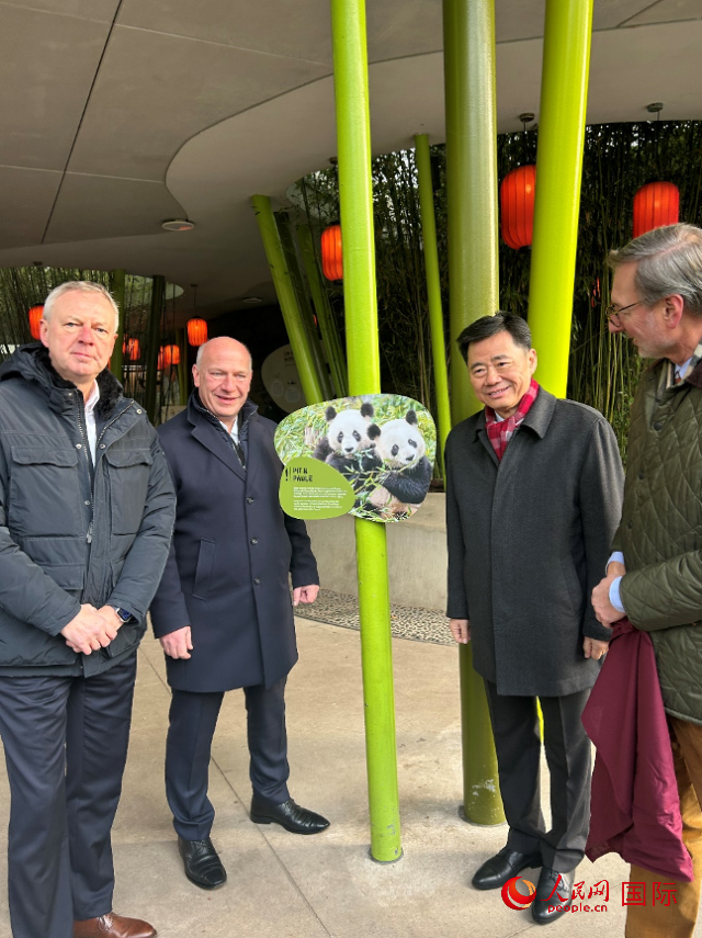 中國駐德國大使吳懇（右二）、柏林市長韋格納（左二）、動(dòng)物園園長克尼里姆（右一）和監(jiān)事會主席布魯克曼（左一）共同為“夢想”“夢圓”大熊貓紀(jì)念牌揭幕。人民網(wǎng)記者 徐馨攝