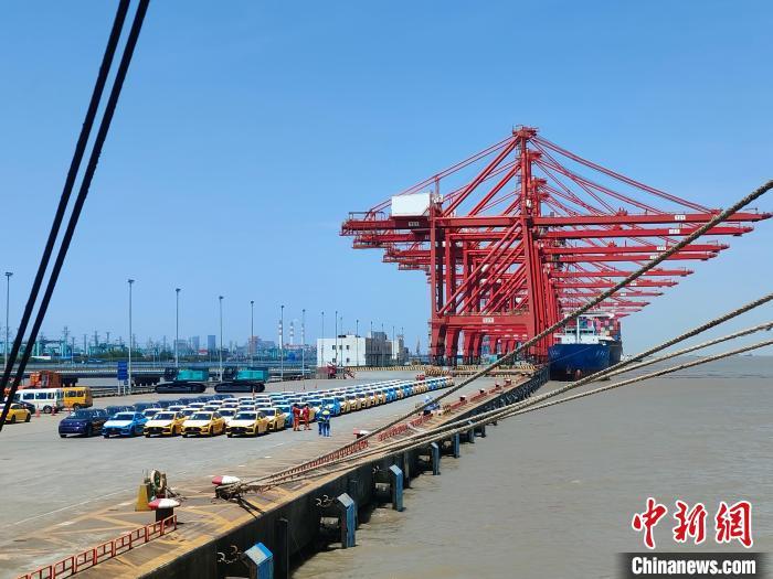 資料圖：國(guó)產(chǎn)新能源車在上海外高橋港區(qū)海通碼頭“整裝待發(fā)”?！∑址?攝