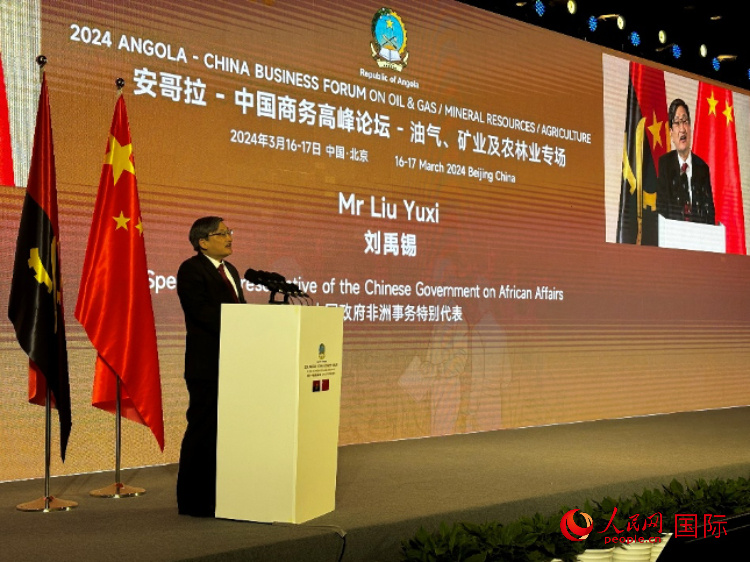 中國政府非洲事務(wù)特別代表劉禹錫。人民網(wǎng)記者 張榮攝