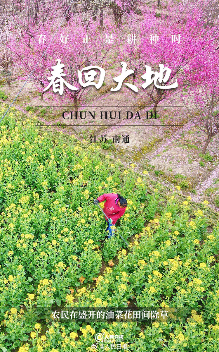 生機盎然！用課本封面打開春耕畫卷