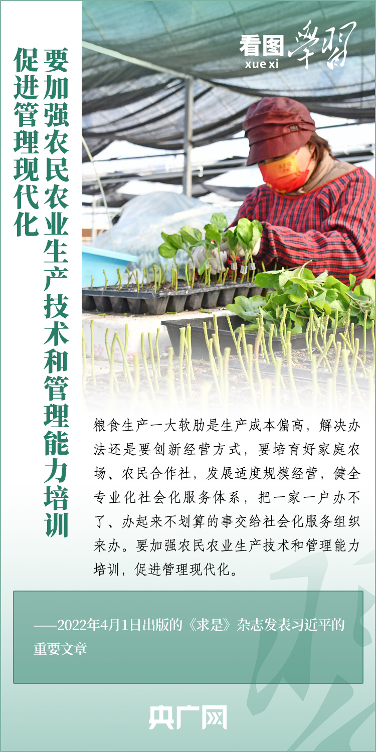 看圖學(xué)習(xí)丨推廣良田、良種、良法、良機(jī) 給農(nóng)業(yè)現(xiàn)代化插上科技的翅膀