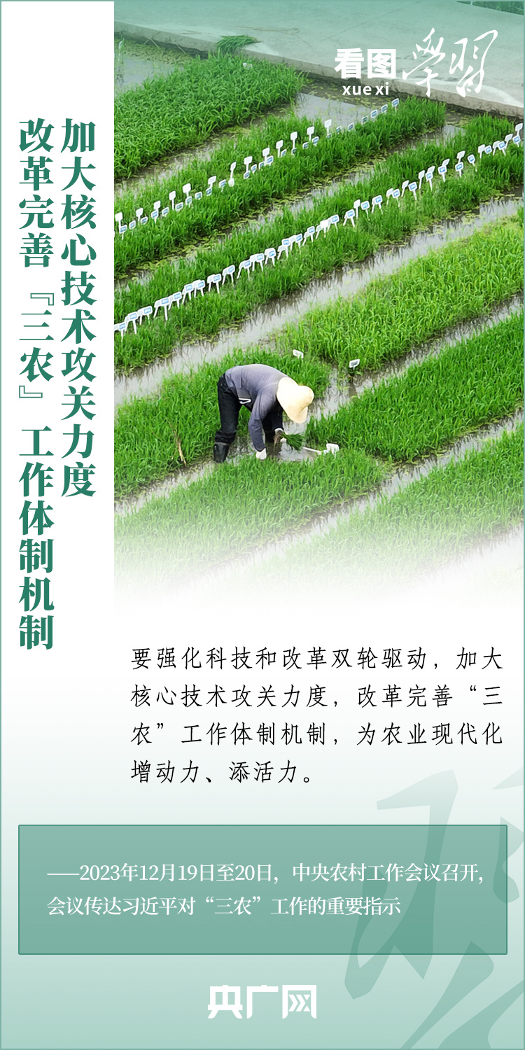 看圖學(xué)習(xí)丨推廣良田、良種、良法、良機(jī) 給農(nóng)業(yè)現(xiàn)代化插上科技的翅膀