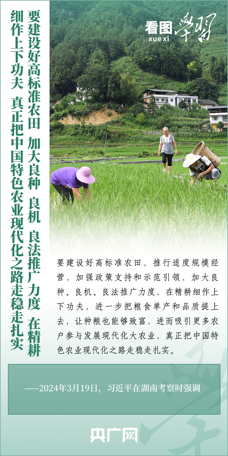 看圖學(xué)習(xí)丨推廣良田、良種、良法、良機(jī) 給農(nóng)業(yè)現(xiàn)代化插上科技的翅膀