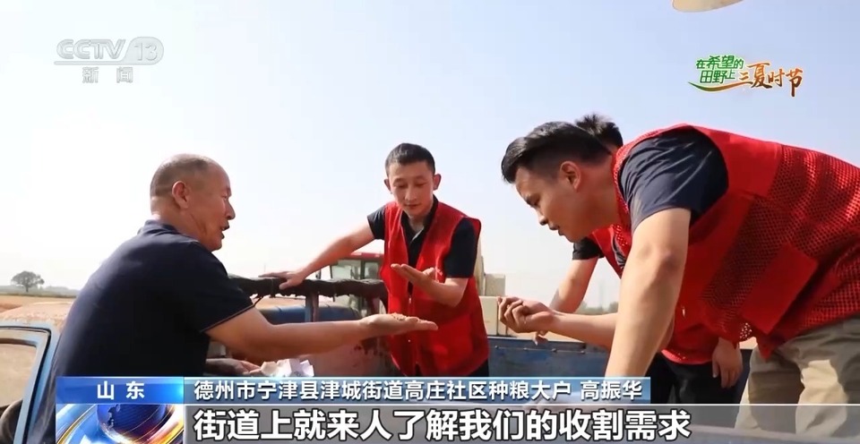 “三夏”生產(chǎn)思維導(dǎo)圖安排上了！還有政府大院等你來(lái)“曬”