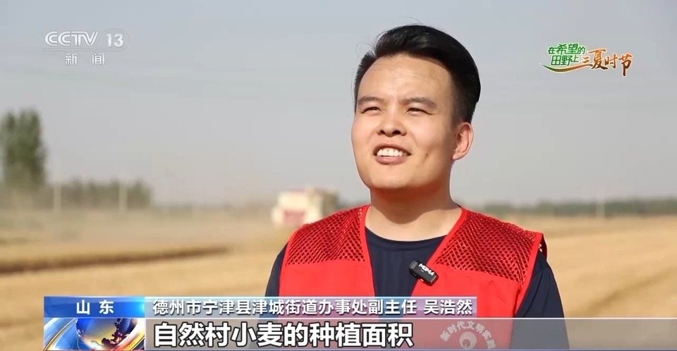 “三夏”生產(chǎn)思維導(dǎo)圖安排上了！還有政府大院等你來(lái)“曬”