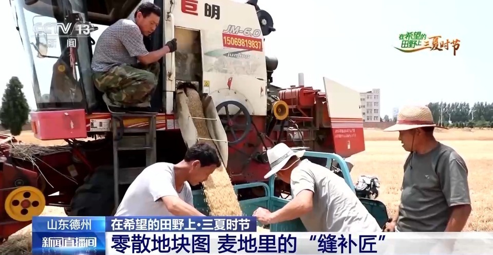 “三夏”生產(chǎn)思維導(dǎo)圖安排上了！還有政府大院等你來(lái)“曬”
