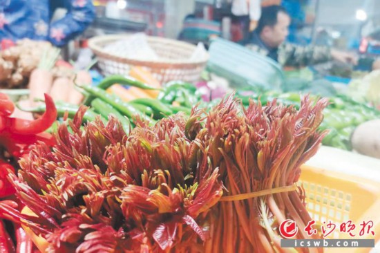 　　農(nóng)貿(mào)市場里鮮嫩的香椿?！　【鶠殚L沙晚報全媒體記者 劉捷萍 攝