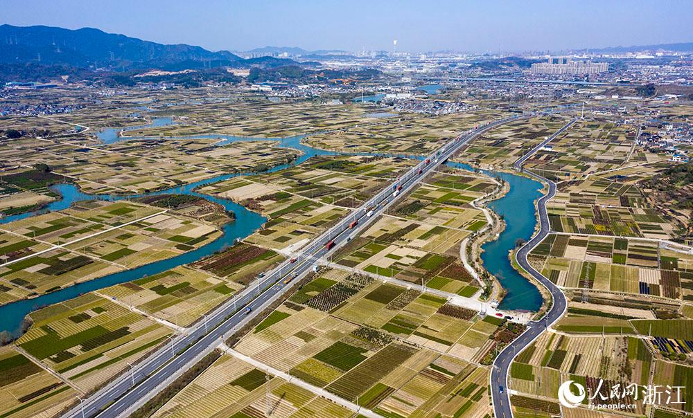 寧波市北侖區(qū)柴橋街道的萬畝花田猶如打翻的調(diào)色盤。人民網(wǎng) 章勇濤攝
