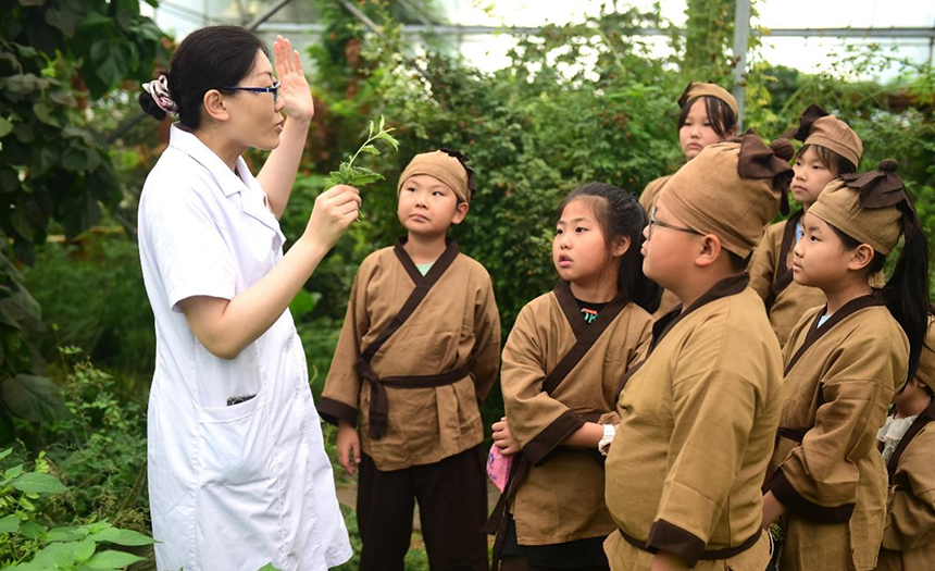 參加活動的孩子聆聽滄州市人民醫(yī)院國醫(yī)館中醫(yī)對中藥材的講解。 傅新春攝