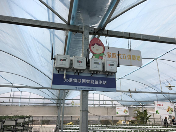 都市四季果園內(nèi)的物聯(lián)網(wǎng)智能監(jiān)測站系統(tǒng)。東?？h委宣傳部供圖