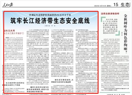 人民日報。截圖