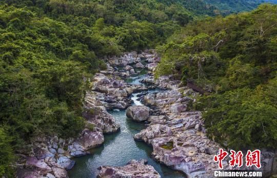 2018年海南生態(tài)環(huán)境狀況等級為“優(yōu)”，植被覆蓋率高，生物多樣性豐富，生態(tài)系統(tǒng)穩(wěn)定，圖為海南中部熱帶雨林?！●樤骑w　攝