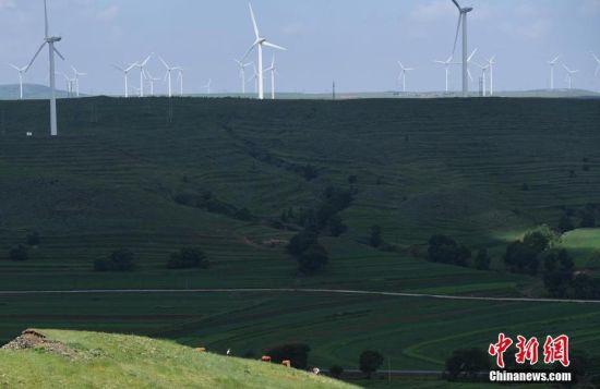 6月28日，河北張家口張北草原上大片風(fēng)力發(fā)電的“風(fēng)車”規(guī)模宏大。 中新社記者 楊艷敏 攝