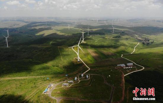 6月28日，河北張家口張北草原上大片風(fēng)力發(fā)電的“風(fēng)車”規(guī)模宏大。 中新社記者 楊艷敏 攝