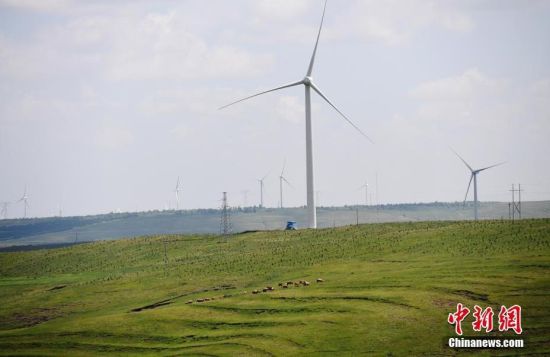 6月28日，河北張家口張北草原上大片風(fēng)力發(fā)電的“風(fēng)車”規(guī)模宏大。 中新社記者 楊艷敏 攝