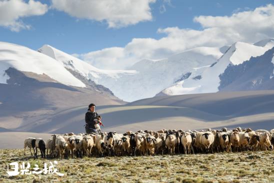 治愈你的不止曠野，更是真實的生活