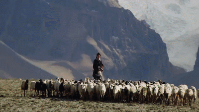 你看了嗎？藏語版《日光之城》“含金量”還在上升！