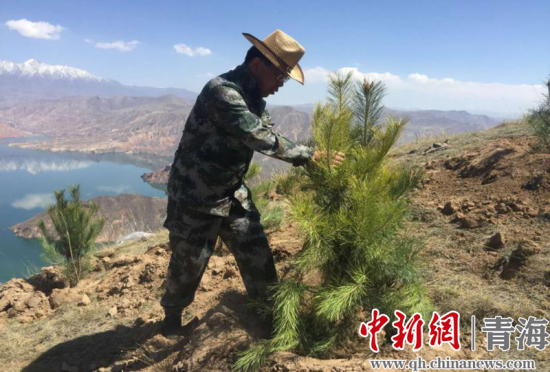 圖為尖扎干部職工生態(tài)建設(shè)和環(huán)境保護(hù)現(xiàn)場。尖宣 供圖