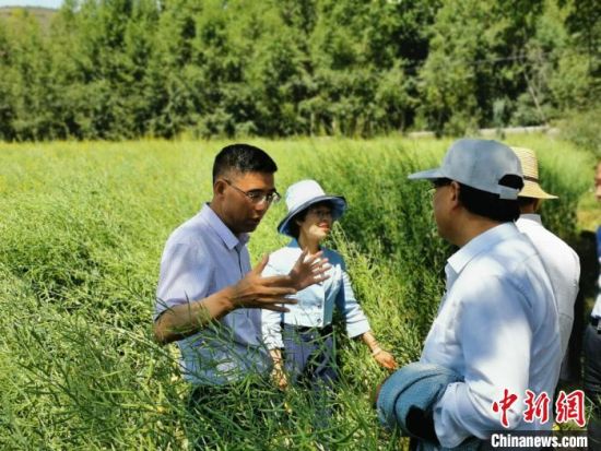 圖為九三學(xué)社青海省委主委杜德志(左一)在基層調(diào)研。受訪者供圖