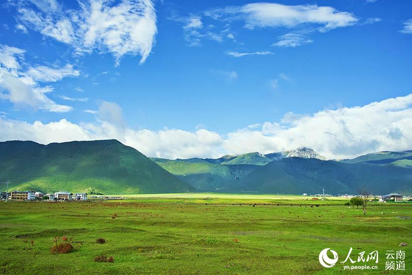 納帕海濕地風(fēng)景。呂昊辰攝