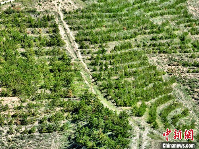 航拍建行青海省分行綠化區(qū)?！∑钤鲚?攝