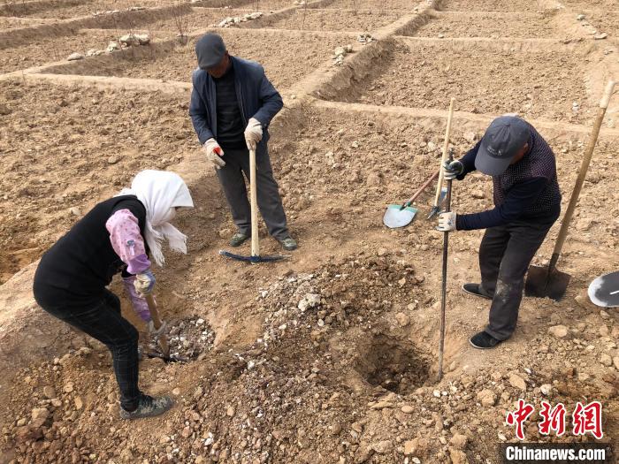 資料圖為建行青海省分行綠化區(qū)施工隊隊員處理亂石?！〗ㄐ星嗪Ｊ》中泄﹫D