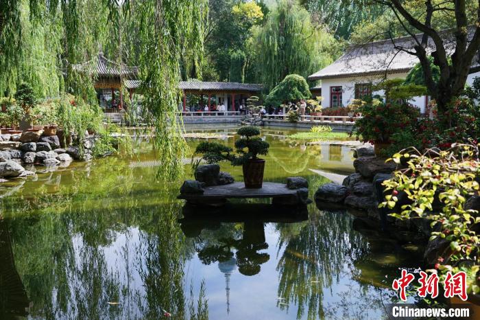 圖為西寧園林植物園秋日風(fēng)景別有韻味?！●R銘言 攝