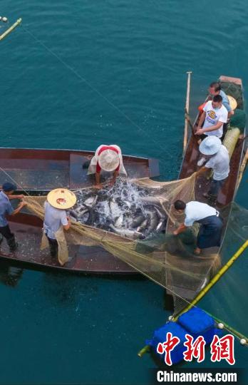 捕魚現(xiàn)場?！≈鬓k方供圖