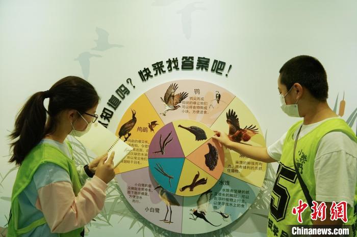 圖為小朋友在青海西寧湟水國家濕地公園科普館內(nèi)參觀學(xué)習(xí)。　馬銘言 攝
